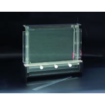 DNA序列分析电泳槽