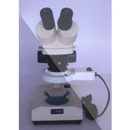 体视显微镜