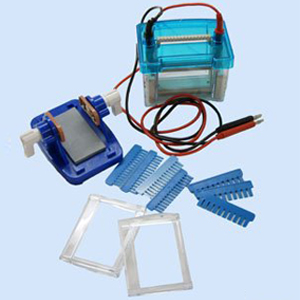 垂直电泳槽 DYCZ-24DN