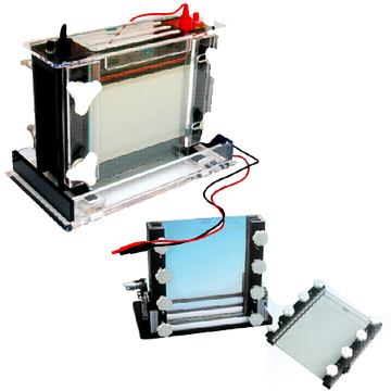 双垂直电泳槽 JY-SCZ8