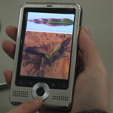 �����䷽ʩ����Ϣ��ѯ ZWY-1