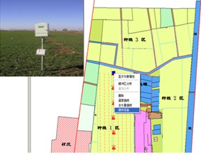 �������߶�����麵��ʵʱ���ϵͳ������ǡ�����ϵͳ TZS-GSM