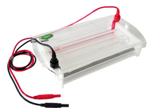 迷你水平电泳槽