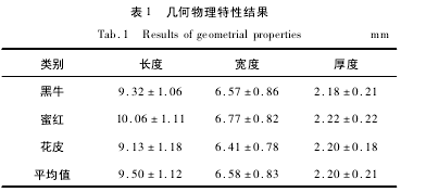 �� 1 �����������Խ��