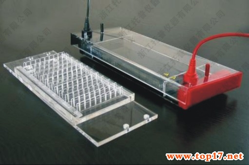 ����PCRˮƽ��Ӿ�� JY-SP3