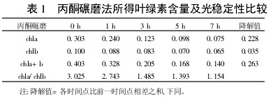 表1 丙酮碾磨法所得叶绿素含量及光稳定性比较