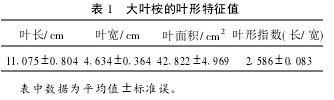 表1 大叶桉的叶形特征值