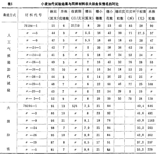 ��3С��Ӵ���������ͬ�������ڴ�����������ĶԱ�