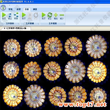 ���׿�����