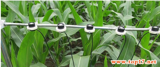 多通道光合有效辐射记录仪 TPF-8N