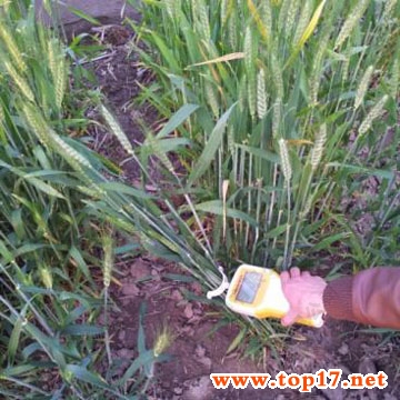 ��Яʽ���￹�����ⶨ�� YYD-ID