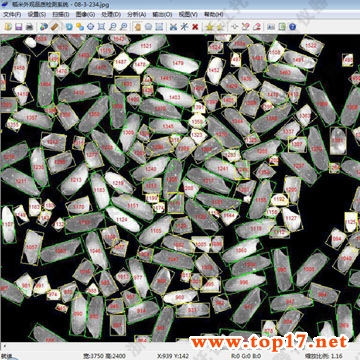 大米外观品质检测系统