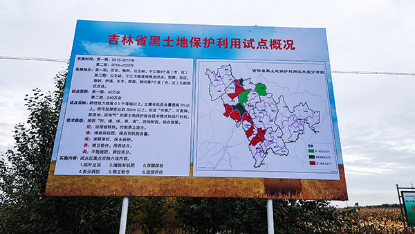 �Ե��������Ŀ�ſ���