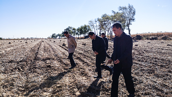 л�����������������ָ����Ρ����������³����ں�������