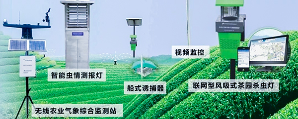 ֲ����Ϣ�����Ԥ��ϵͳ