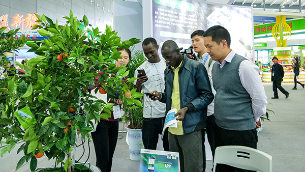 ������ũ���������ͼ����ɹ����õ����ֳ����ٷÿ͵Ĺ�ע���ڴ�