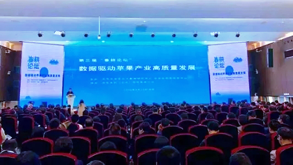 �����조������̳����ƻ����ҵ�����ݷ�չӦ�ø߷���̳