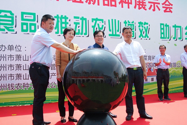 ��ɽ���������������ƽ��