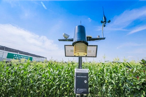 �������ۺ�վ