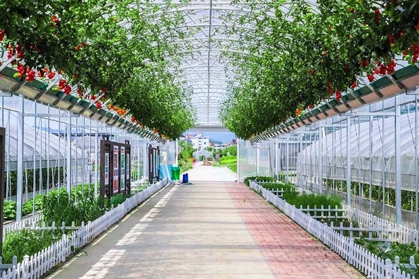 ���ѳ���