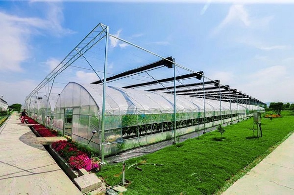 ����ͨ��Ĵ���