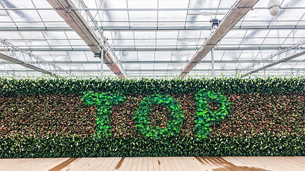 ������ũȫ�Զ��й�ʽ���Ҵ�����ʽ���