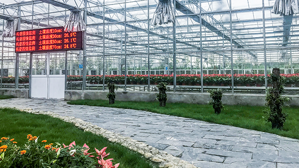 ������ũȫ�Զ��й�ʽ���Ҵ�����ʽ���