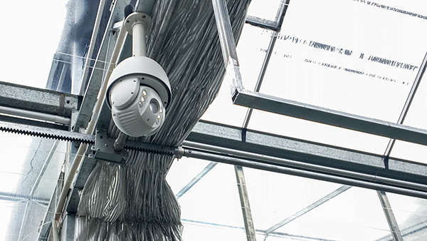 ������ũȫ�Զ��й�ʽ���Ҵ�����ʽ���