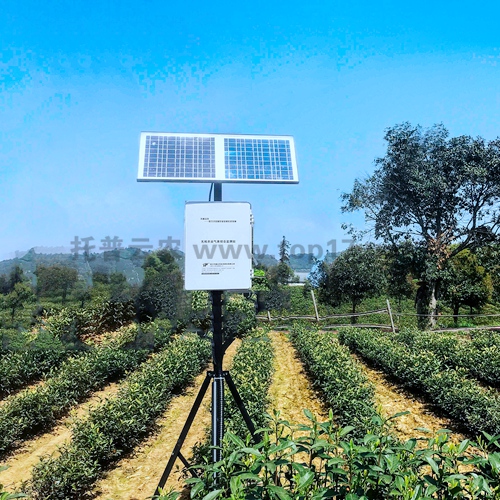 土壤多参数自动监测站 TZS-GPRS-I