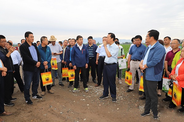 �����Ŵ��쿼��С�ӽ���ʵ�ؿ���