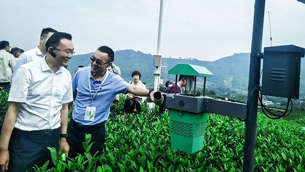 ���������³���������������ν��������ͷ���ʽɱ���