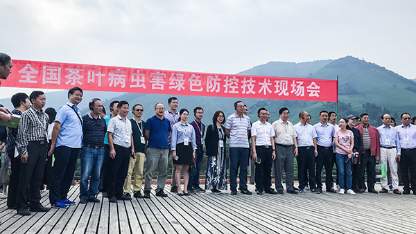 ȫ����Ҷ���溦��ɫ���ؼ�����ѵ���㽭�ٿ�