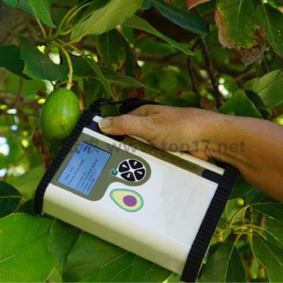 鳄梨品质无损测量仪 TPF-751-Avo