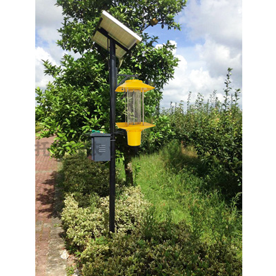 ̫����ɱ���