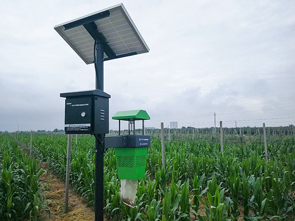 ·çÎüʽɱ³æµÆ