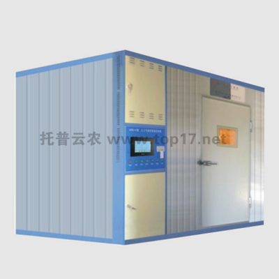 �˹�������