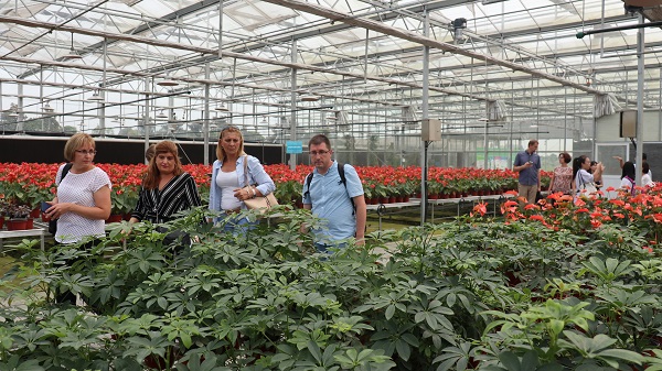 研修班一行在现代农业产业园现场观摩6