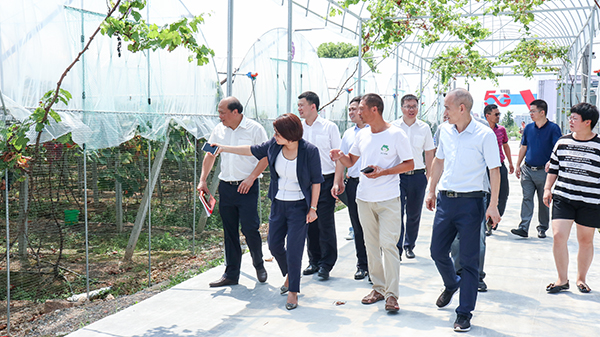 ²Î¹Û´óÅïÖÇÄÜ¿ØÖÆÏµÍ³