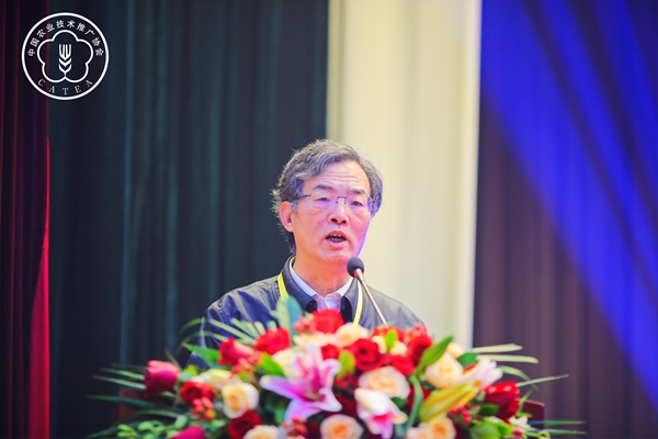 ȫ��ũ���������긱����������Ƹר������