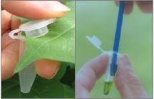 ���ת�������ֽ��