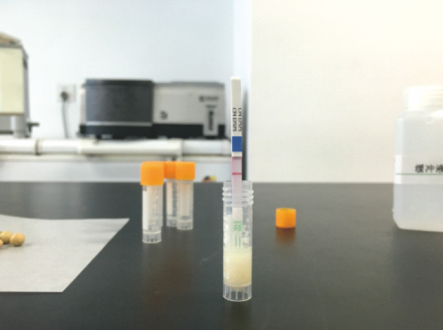 ת�������ֽ