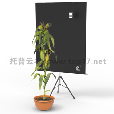 �������ͷ���ϵͳ TPMT-X-1