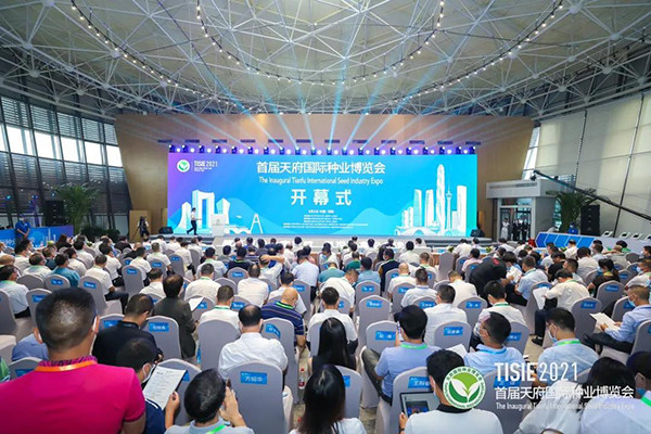 �׽�ɶ��츮������ҵ�������ٿ�