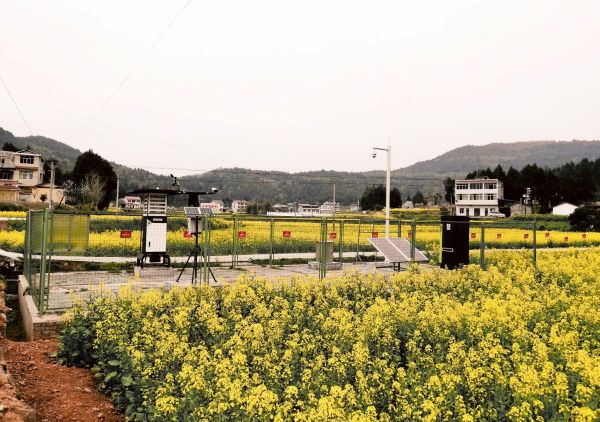 ������ũ���溦����