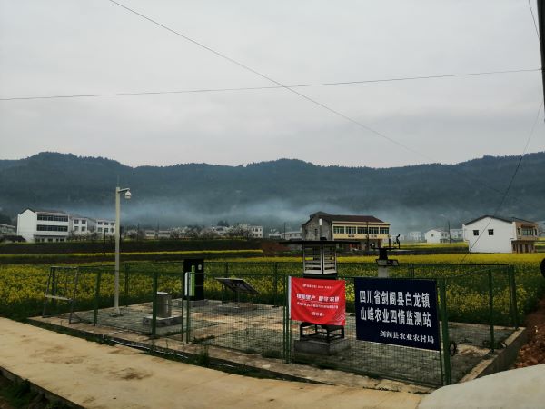 ������ũ���溦����