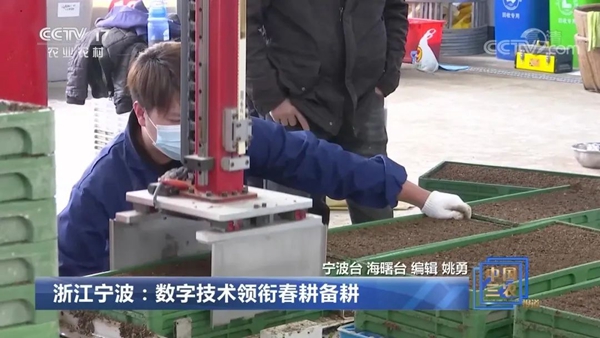 ���㽭���������ּ������δ���������������