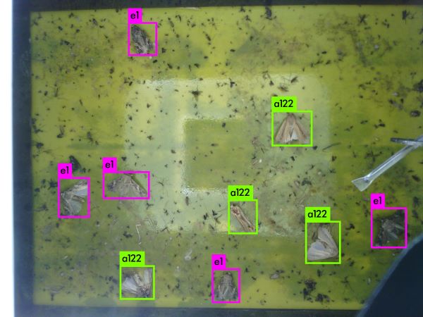 ²ÝµØÌ°Ò¹¶ê