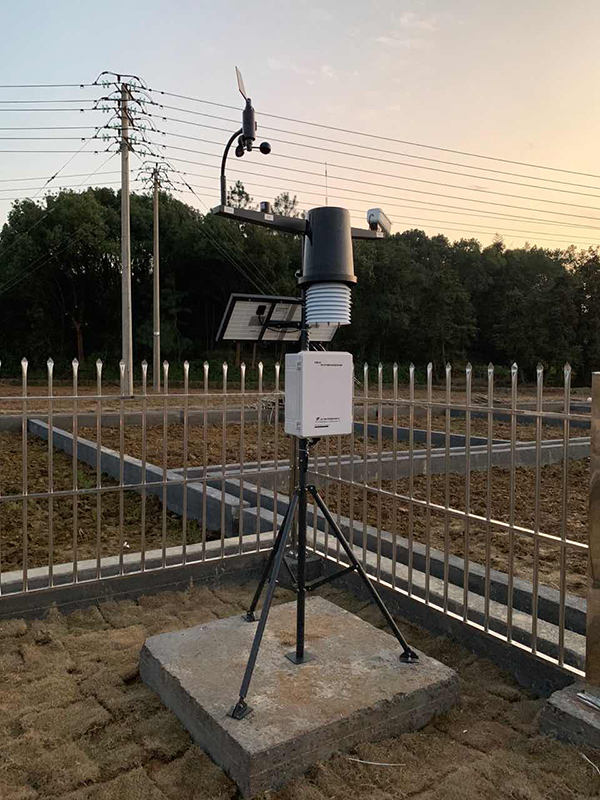 С����۲���