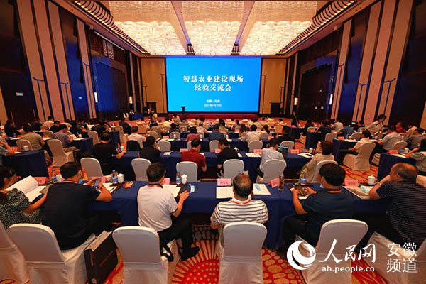 �ǻ�ũҵ���辭�齻�����ֳ�