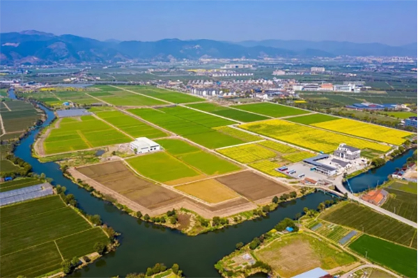 ���ִ�������ũҵ��Ŀ�����Ч